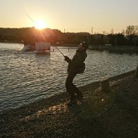 Tsuyoshi (@gis720126) 's Twitter Profile
