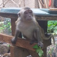 @BsrâAt0M (@at0mbsr) 's Twitter Profile Photo @BsrâAt0M (@at0mbsr) 's Twitter Profile Photo