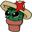 IrateMexican Profile Picture