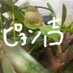 ピョン吉と一般人 (@piyonkichi_huma) Twitter profile photo ピョン吉と一般人 (@piyonkichi_huma) Twitter profile photo