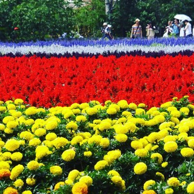 shin155273's profile picture. 