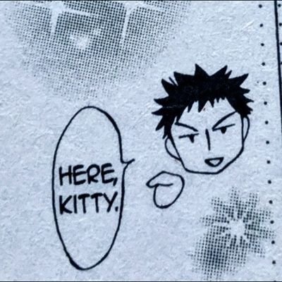 Gina 🐱さんのプロフィール画像