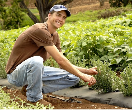 Evonukfarms's profile picture. Culinary herb farmers in Kula on the island of Maui.  Providing Hawaii with a wide variety of the freshest herbs available.