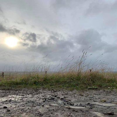 Impressionistic piece on the climate crisis, through the lens of Caithness, home to The Flow Country, Europe’s largest blanket peat bog, a vast carbon store.