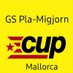 GS CUP Pla i Migjorn de Mallorca (@pla_cup) Twitter profile photo
