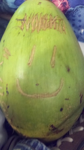 underagepoker's profile picture. 