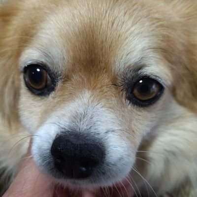 taxitaxi50's profile picture. 