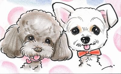 BM10950918's profile picture. 愛犬のベルとモカの写真を日記にしていこうと思います♪
☆紹介 : ベル  
    犬種 : マルチワワ
☆紹介 : モカ  
    犬種 : トイプードル