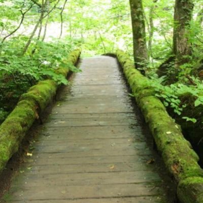 masa_548's profile picture. 普通の人間＊自慢できる経歴は無いですが、感性200%くらいでなんとなくやりくりしながら生きて来ました。 これからもそんな感じです！フェミニストではありません生年月日はバグってて施しようがありません!