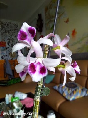 Rabbit97027799's profile picture. lầy