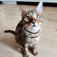 Dmitry Mikulionk (@mikulionk) 's Twitter Profile