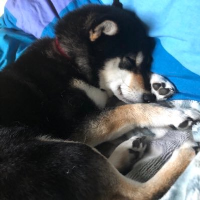 yukinaI7's profile picture. 