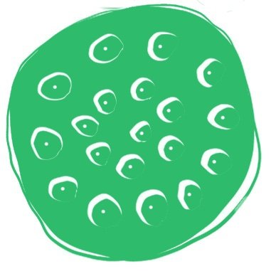 aequoly Profile