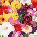 malik_strong - @malik_strong - Twitter