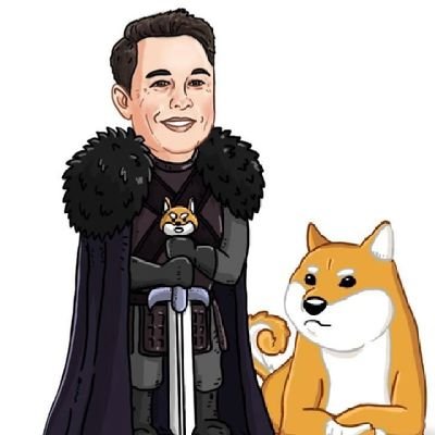 shokewave's profile picture. Crypto Invester