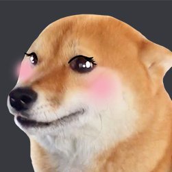 Zelbinaさんのプロフィール画像