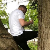 Neb ❔❕ (@exhaustedtime) 's Twitter Profile Photo Neb ❔❕ (@exhaustedtime) 's Twitter Profile Photo