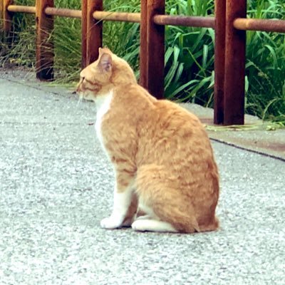 Unknown0980's profile picture. 16園芸食資/えんばれ