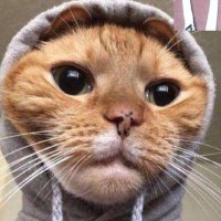 axendeluxe (@axendeluxe) 's Twitter Profile