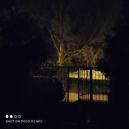 Cyclist80's profile picture. Adını hatırlayan son kişi öldüğünde, hiç doğmamış olacaksın.