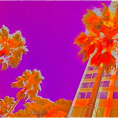 nfyabldcqt3rvvG's profile picture. 人畜無害