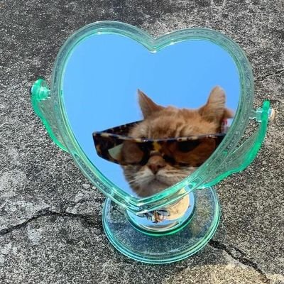 yosoykruger's profile picture. Rosam as choras