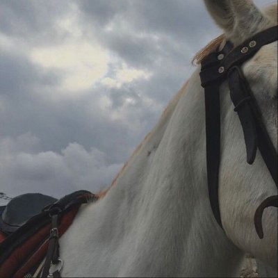 Cedra_74's profile picture. لا حول ولا قوة الا بالله العلي العظيم 🤍