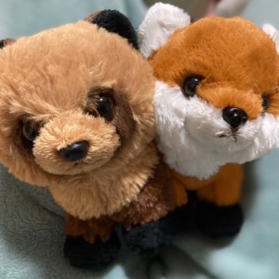 かなえさんのプロフィール画像
