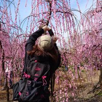 chico 🌿。.。* (@chico95727887) 's Twitter Profile Photo chico 🌿。.。* (@chico95727887) 's Twitter Profile Photo