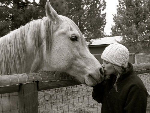 awillynickel's profile picture. 