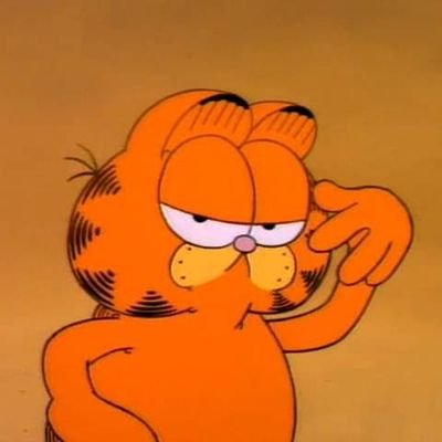 i like garfield