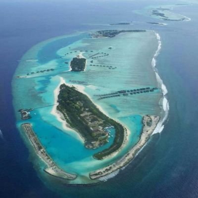 againstfascist0's profile picture. against the fascists.