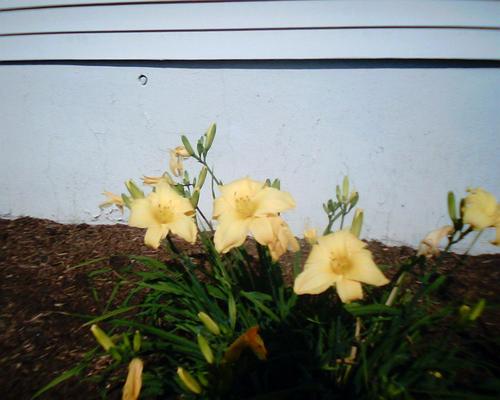 LghusaLinda's profile picture. I am working internet marketing.  I am a born again Christian and Mainline American.