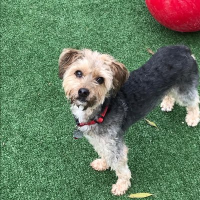 shafeia's profile picture. PHD in Economics, stocks and stock options expert