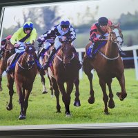 Ian Donoghue Racing (@iandonoghue5) 's Twitter Profile