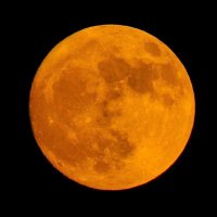 Alert Stillness (@alertstillness) 's Twitter Profile