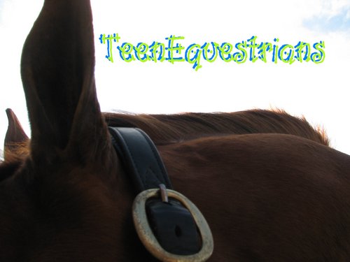 A positive forum in which teen equestrians are able to discuss horse related issues. Some topics include showing, books, training, product reviews, and sales.
