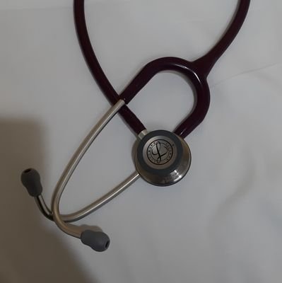 Lissymq's profile picture. 