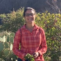 Amy Ganguli (@amycganguli) 's Twitter Profile