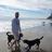 Davebmack56's profile image