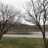 Naz YALIM (@anneogretmen_) 's Twitter Profile Photo