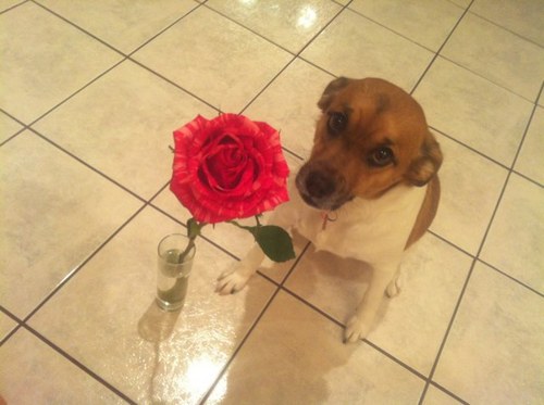 cccampbell2's profile picture. Live like there's no tomorrow, laugh until you cry, love with all your heart!!!