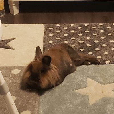 Trademax8's profile picture. Trading stocks