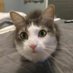 Bill (@btw3267) Twitter profile photo Bill (@btw3267) Twitter profile photo