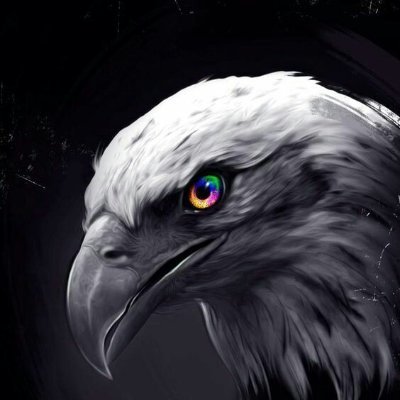 krisadipras's profile picture. 