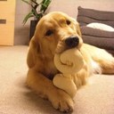 bambina_gogo761 - @bam_cha - Twitter