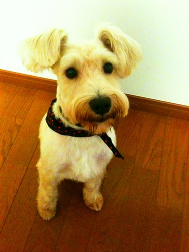 rohisamadanasa's profile picture. 大阪にて自営。神戸生まれ、神戸育ち。神戸在住。広告のお仕事で神戸を活性化させたい。あ、大阪も。いや、日本を。ヴィッセル神戸を応援しています。クリエイター、ヴィッセルサポーターの皆様気軽に絡んでください。