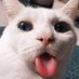 koceng comel (@alpin17650637) Twitter profile photo koceng comel (@alpin17650637) Twitter profile photo