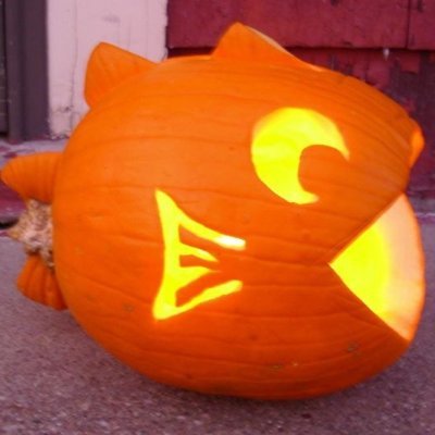 PumpkinFish4 Profile Picture