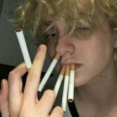 teteus_moh's profile picture. geminiano cansado da vida🌺